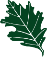 Leaf Icon